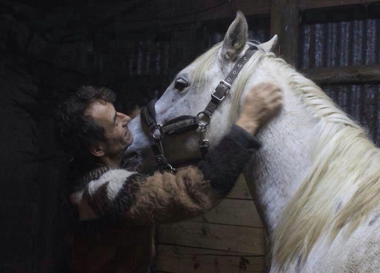 La Cavalerie Des Mésangères