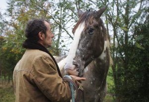 LA CAVALERIE DES MESANGERES