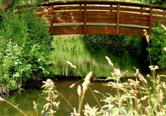 Zone humide de l’Aunay