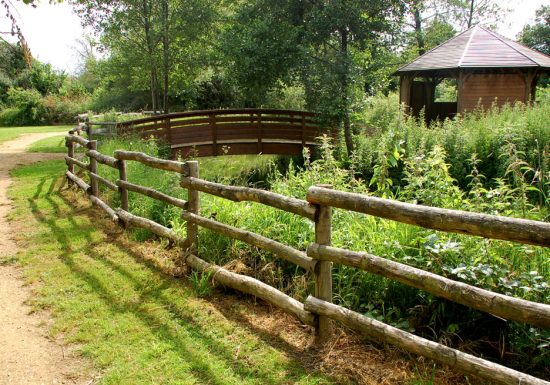 Zone humide de l’Aunay