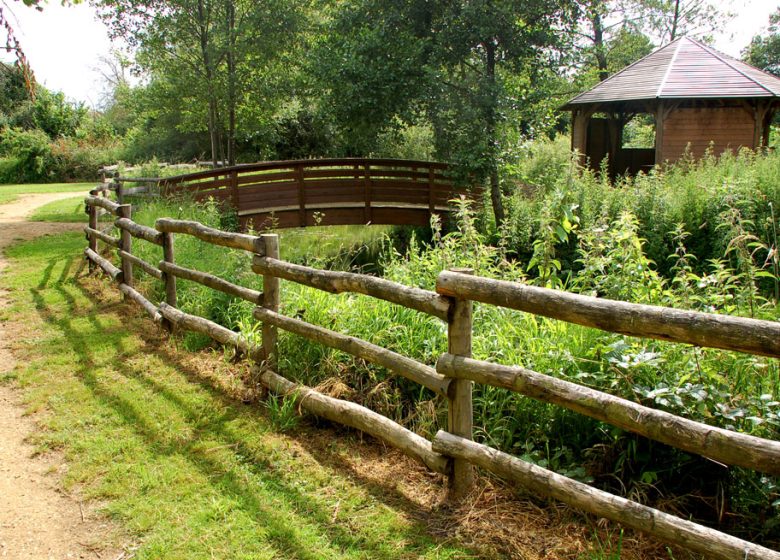 Zone humide de l’Aunay