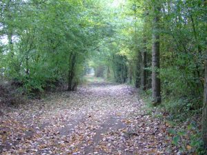 TOUR DE ROUGET LE BRACONNIER