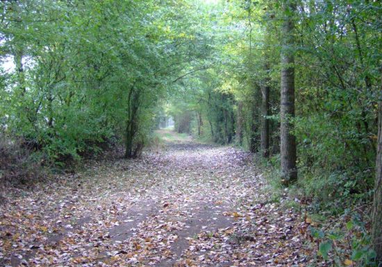 Tour de Rouget Le Braconnier