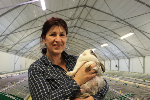 Rosy Lapin