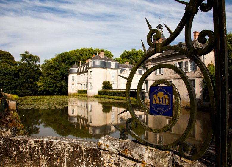 CHATEAU DE MALICORNE-SUR-SARTHE