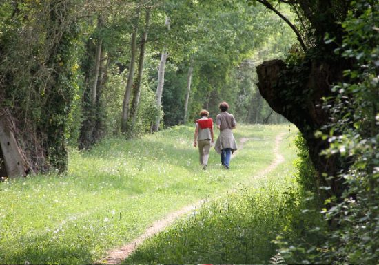 Circuit du bois de l’Hommeau