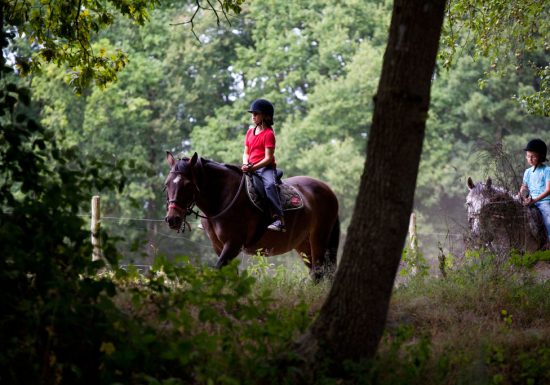 Circuit équestre de Parigné-le-Polin