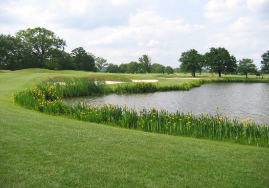 Tour de la forêt de Pincé