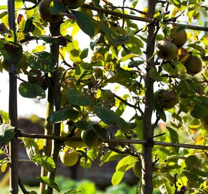 Boucle de la Foucaudière