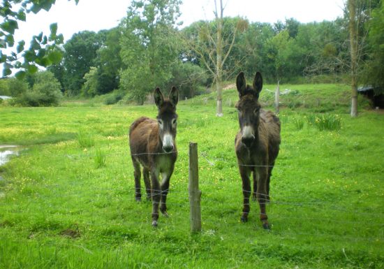Gîte Moulin de la Chaussée