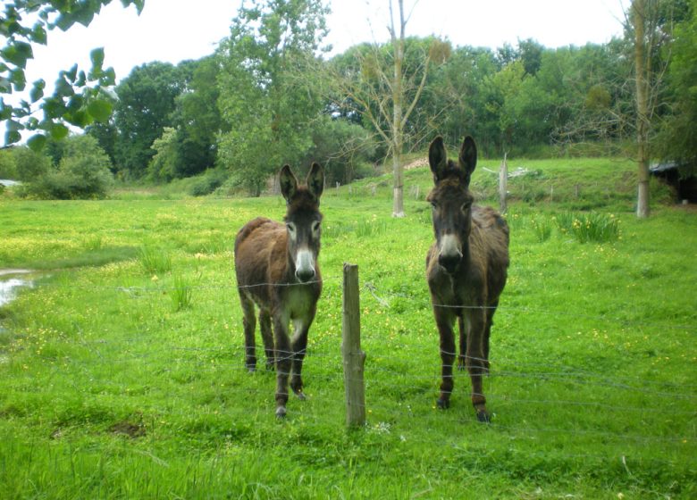 Chambres d’hôtes Moulin de la Chaussée