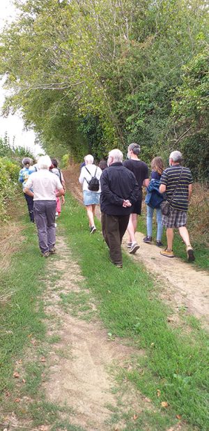 Circuit du chemin de fer