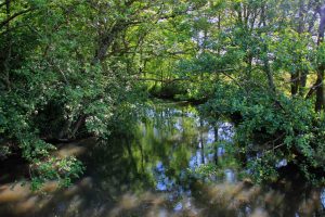 Circuit des passerelles