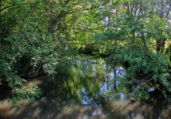 Circuit des passerelles
