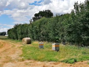 LES FROMAGES DE SOPHIE