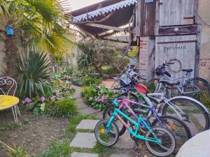 CLOS SUR LOIR COTTAGE- JARDIN YUCCAS