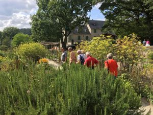 Mercredi au jardin : la permaculture au jardin