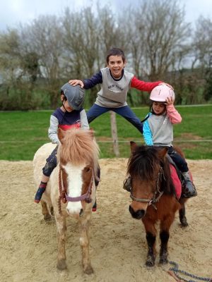 LES BRUMES PONY CLUB