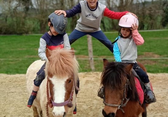 LES BRUMES PONY CLUB